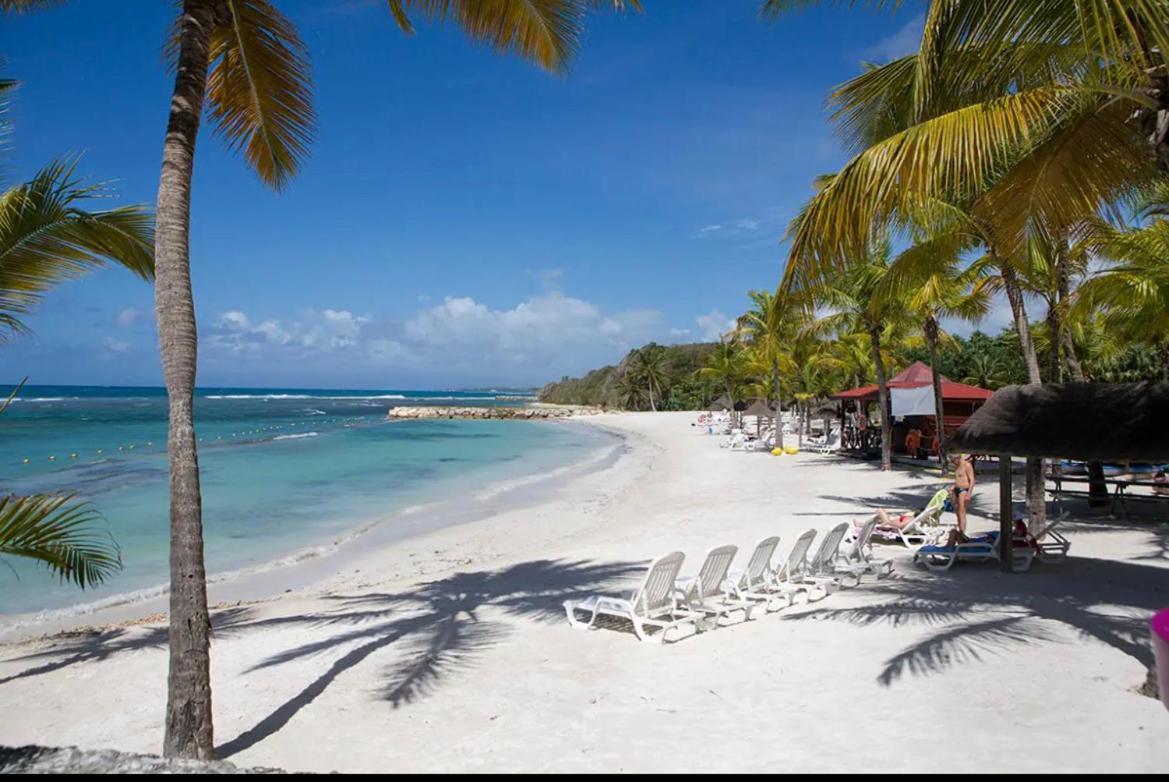 Villa Ana 5 Minutes A Pied Des Plages 상트 안느 외부 사진